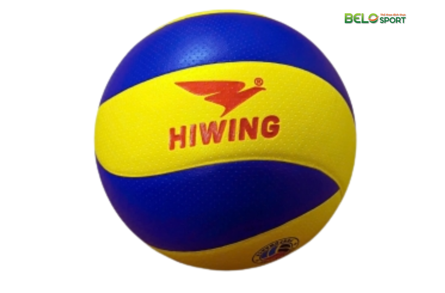 Bóng Chuyền Hơi và Bóng Chuyền Da: Khác Nhau Như Thế Nào?