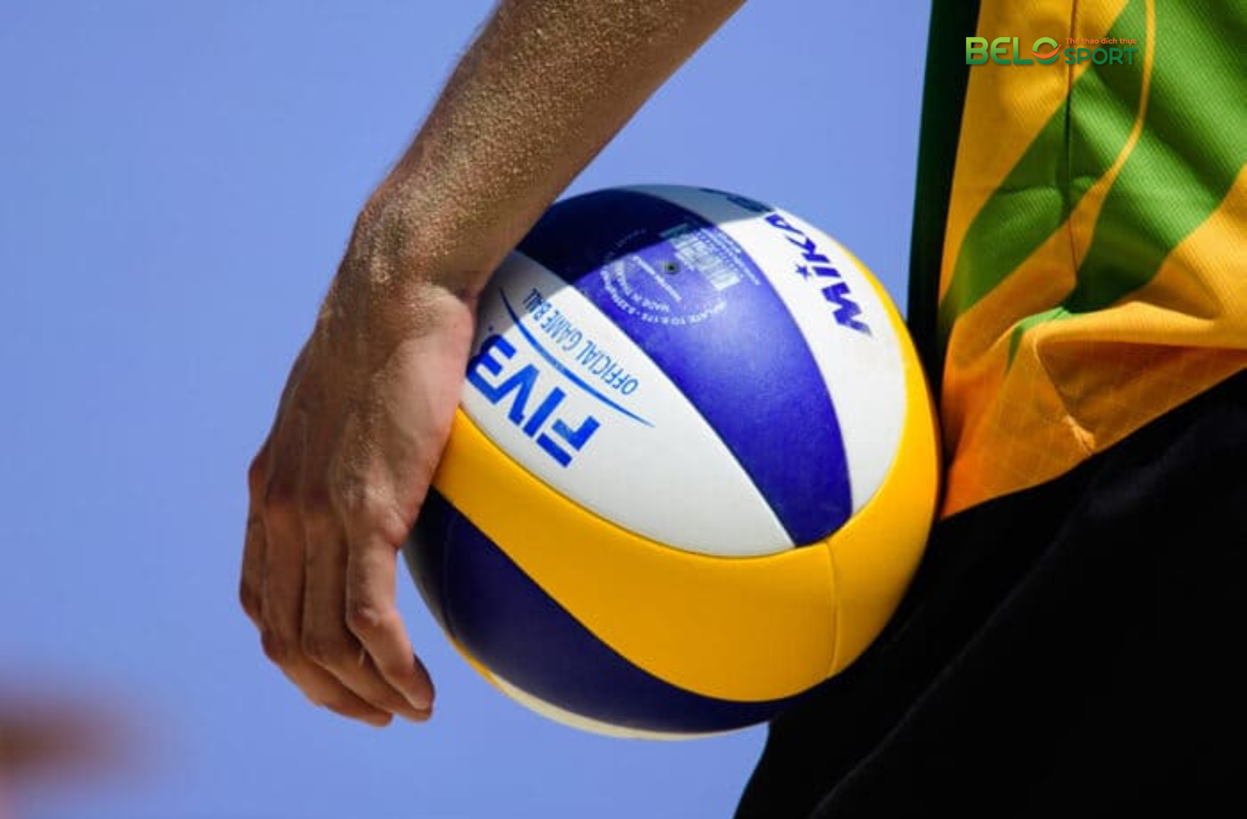 Cách Tập Luyện Bóng Chuyền Tại Nhà Cho Người Mới Bắt Đầu