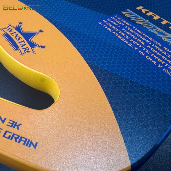 Đánh Giá Chi Tiết Các Mẫu Vợt Pickleball Winstar Đang Hot Tại Việt Nam