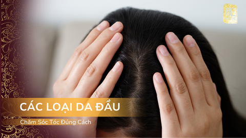 Tìm Hiểu Các Loại Da Đầu Và Cách Chăm Sóc Tóc Đúng Cách
