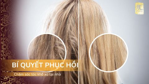 Bí Quyết Phục Hồi Tóc Khô Xơ Tại Nhà Đơn Giản Và Hiệu Quả
