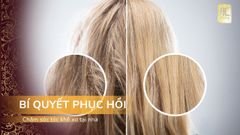 Bí Quyết Phục Hồi Tóc Khô Xơ Tại Nhà Đơn Giản Và Hiệu Quả