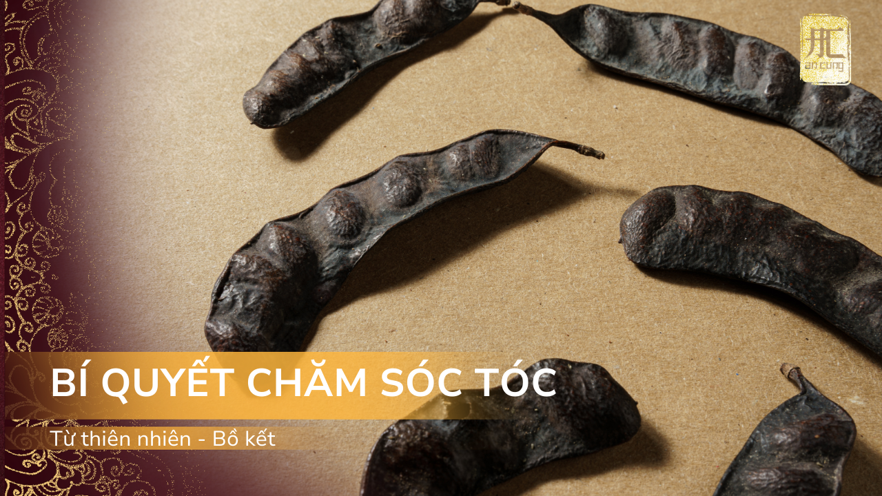Bồ Kết – Bí Quyết Chăm Sóc Tóc Từ Thiên Nhiên