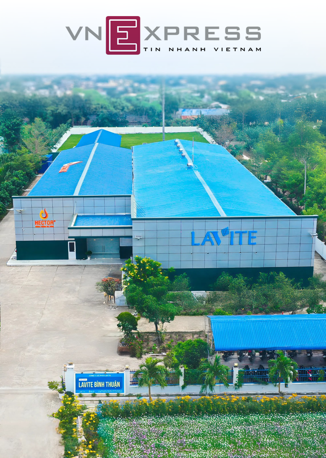 VnExpress - Hector đưa sản phẩm chiết xuất từ thảo mộc ra thế giới