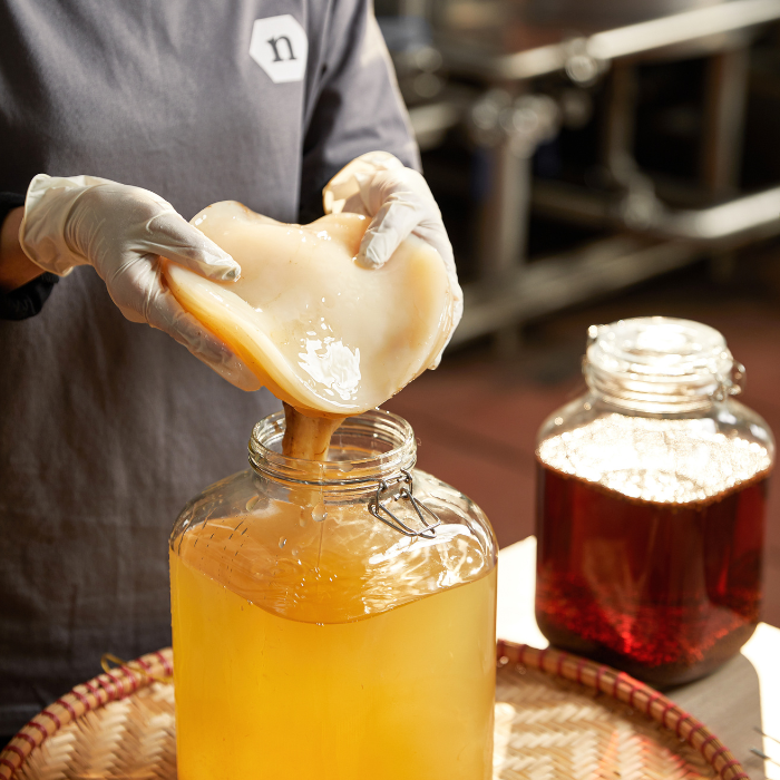 Khác biệt giữa Junbucha và Kombucha?