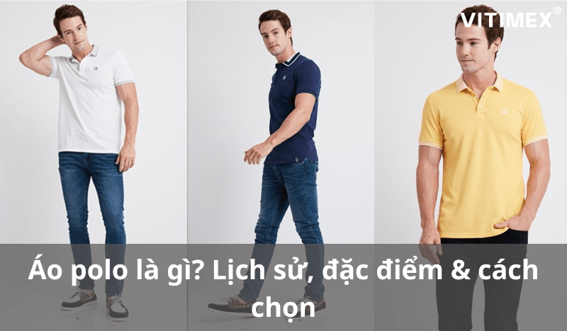 Áo polo là gì? Lịch sử, đặc điểm & cách chọn