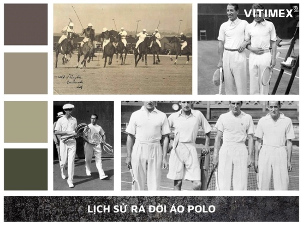 Áo Polo là áo gì? Đặc điểm và lịch sử