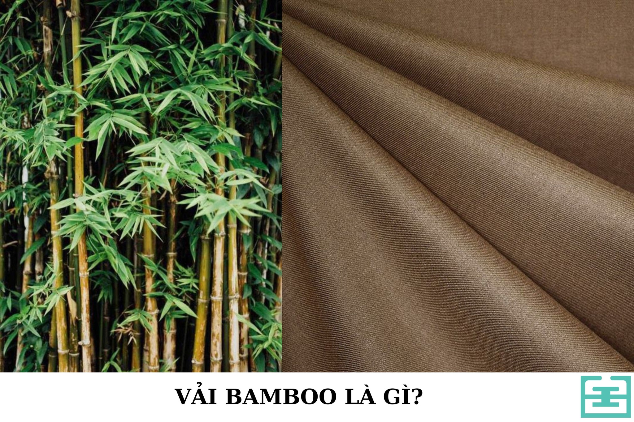 Vải BamBoo Là Gì? Đặc Điểm, Ứng Dụng Và Cách Bảo Quản Vải Bamboo