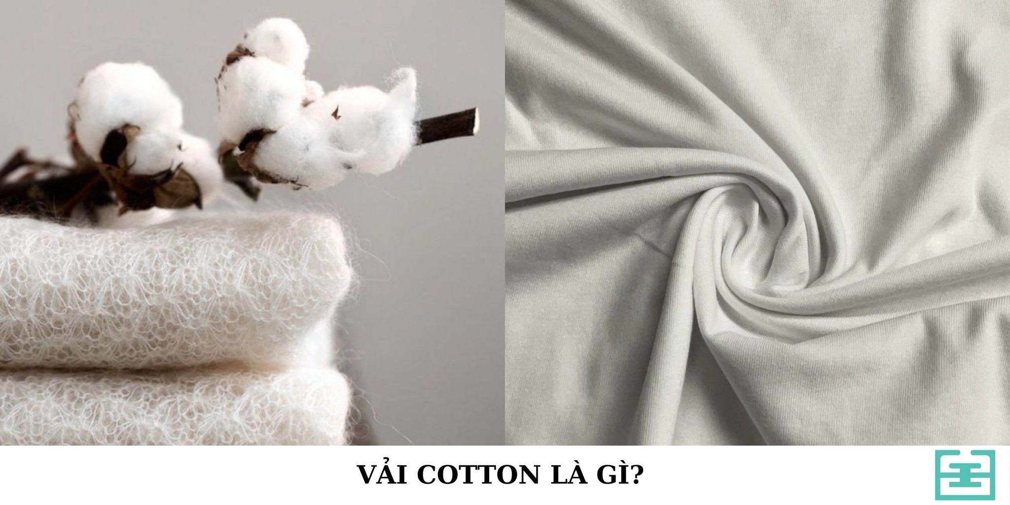 Vải Cotton Là Gì? Đặc Điểm, Ứng Dụng Và Cách Bảo Quản Vải Cotton