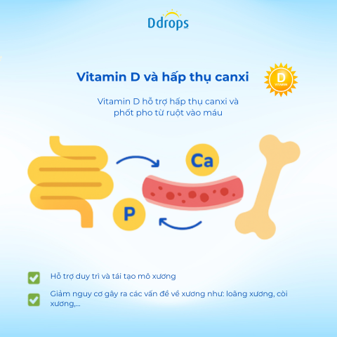 Vitamin D và Canxi: Cặp đôi hoàn hảo cho hệ xương khỏe mạnh
