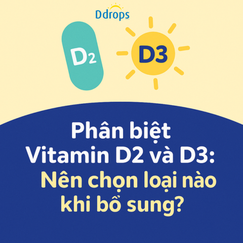 Phân biệt Vitamin D2 và D3: Nên chọn loại nào khi bổ sung?