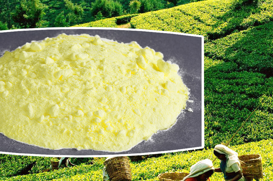 Lưu Huỳnh Vi Hạt (Micronized Sulfur) – Thành Phần Trị Mụn Hiệu Quả Nhưng Ít Ai Biết Đến