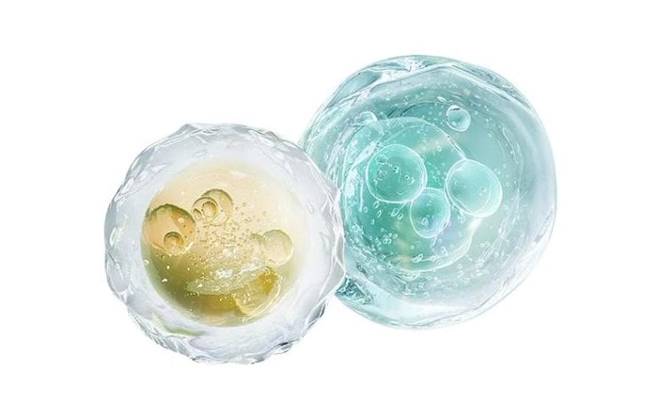 Niacinamide thoa cùng Retinol: Cách kết hợp hiệu quả cho da