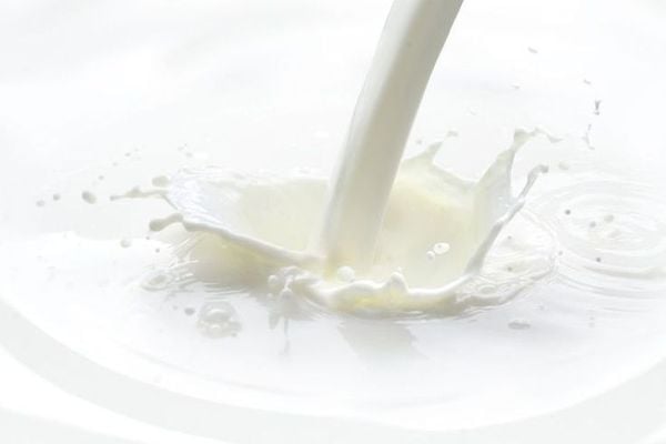 Lactic Acid: AHA “dịu” nhưng không hề yếu