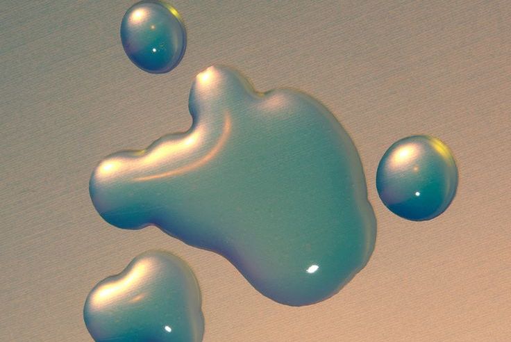 Diglucosyl Gallic Acid: Làm sáng da đột phá nhờ hệ vi sinh