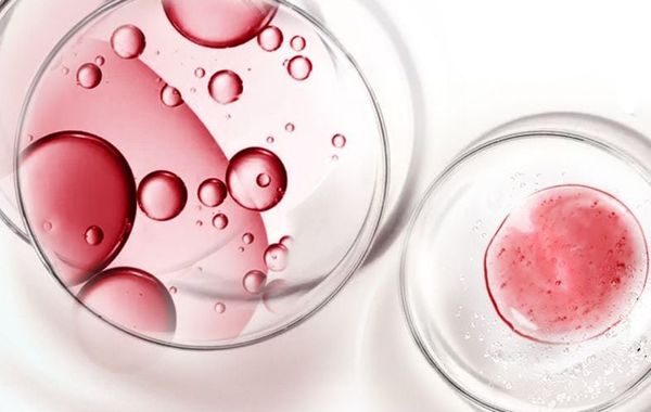 Retinol và Peptide: Bộ đôi trẻ hóa da đa cơ chế mạnh mẽ