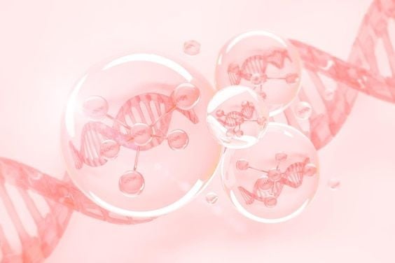 Hiểu Cấu Trúc Da Để Skincare Đúng Và Hiệu Quả Hơn