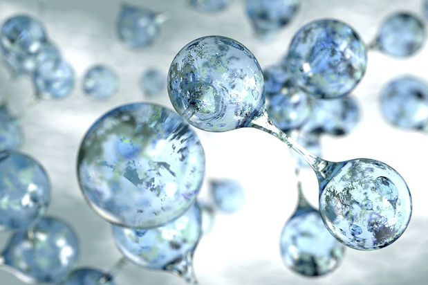 Ectoin: Hoạt Chất Bảo Vệ Da Trước Stress Môi Trường