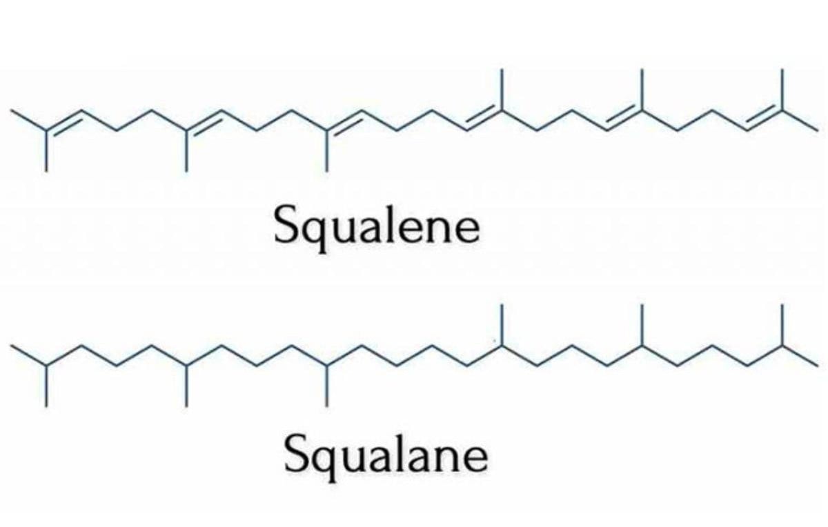 Squalane – Dưỡng chất vàng phục hồi da, khóa ẩm đỉnh cao