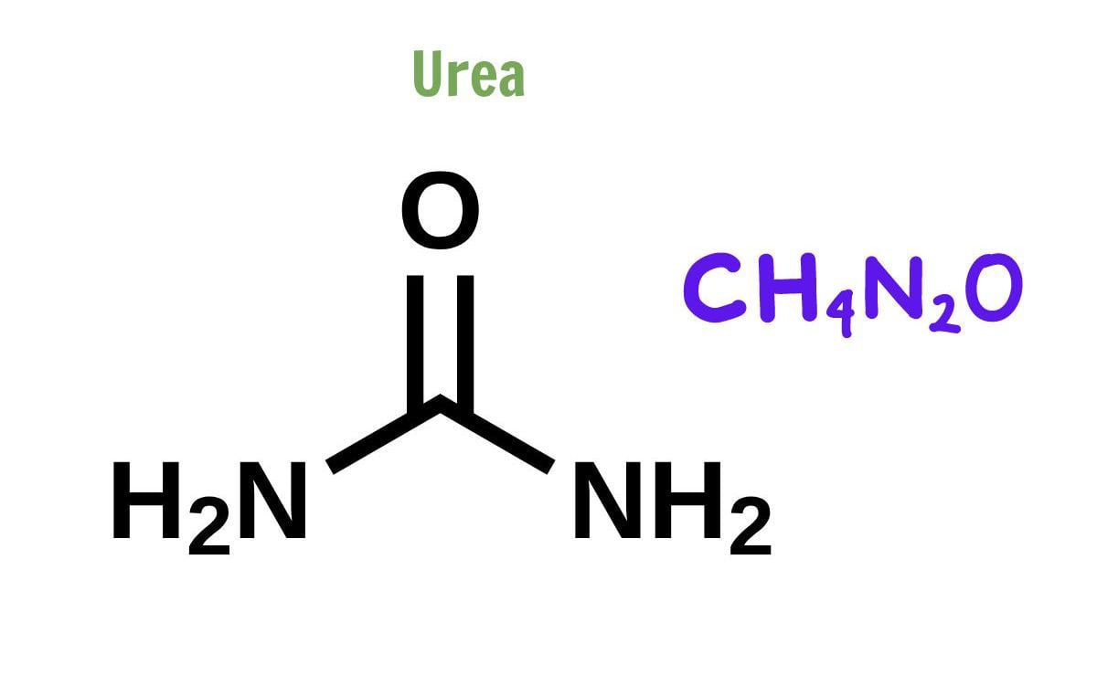 Urea là gì? Bí quyết dưỡng ẩm, làm mềm làn da đúng nồng độ
