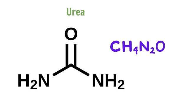 Urea là gì? Bí quyết dưỡng ẩm, làm mềm làn da đúng nồng độ