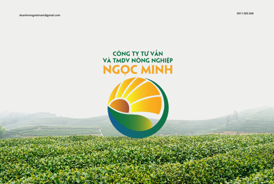 Giới Thiệu Về Doanh Nghiệp