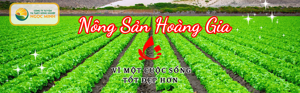 HÀNH TRÌNH HÌNH THÀNH VÀ PHÁT TRIỂN CỦA NÔNG SẢN HOÀNG GIA
