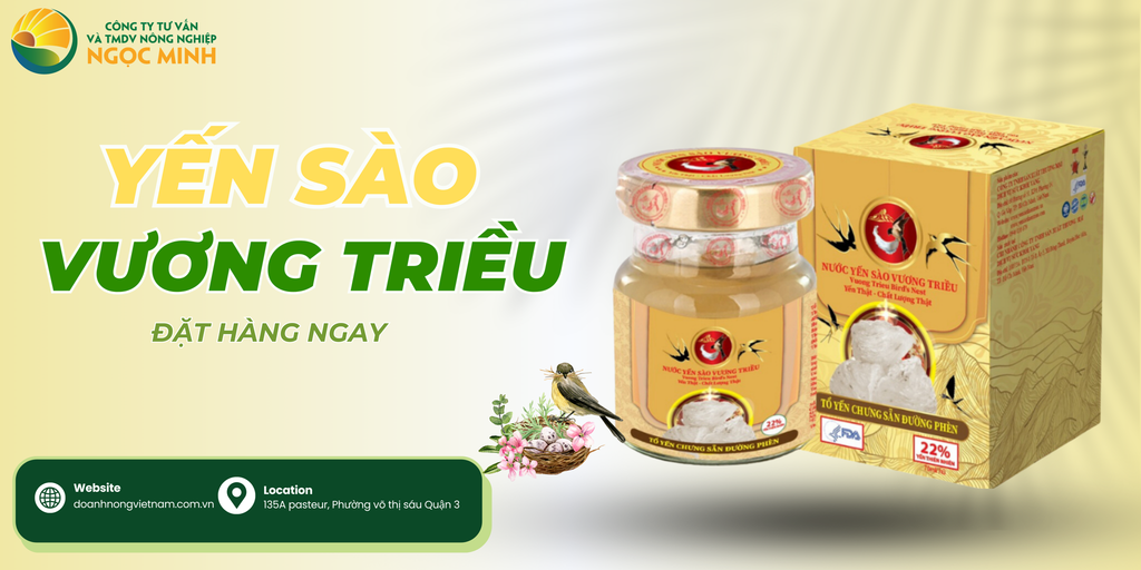 YẾN SÀO CHƯNG SẴN ĐƯỜNG PHÈN - TINH HOA DINH DƯỠNG TỪ THIÊN NHIÊN