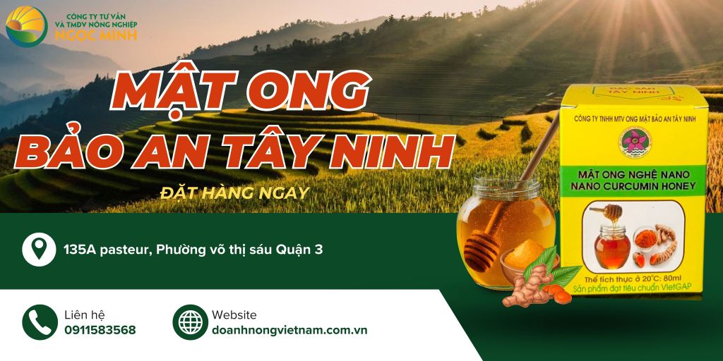 Mật Ong Nano – Giải Pháp Sức Khỏe Đến Từ Thiên Nhiên