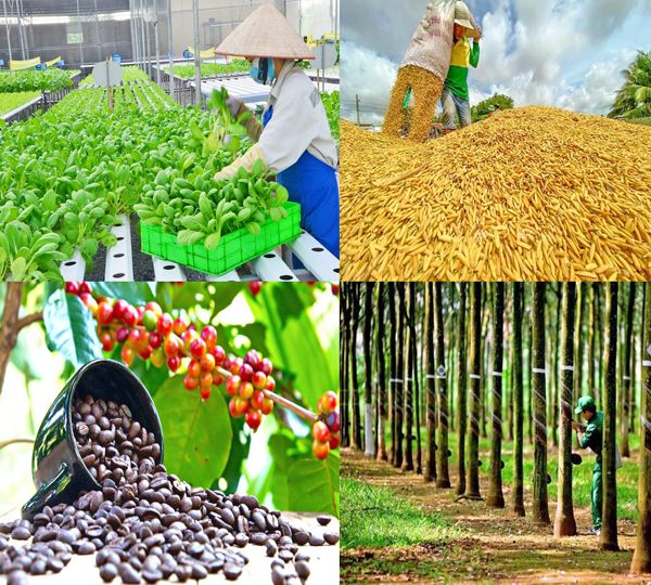 Kiến thức nông nghiệp