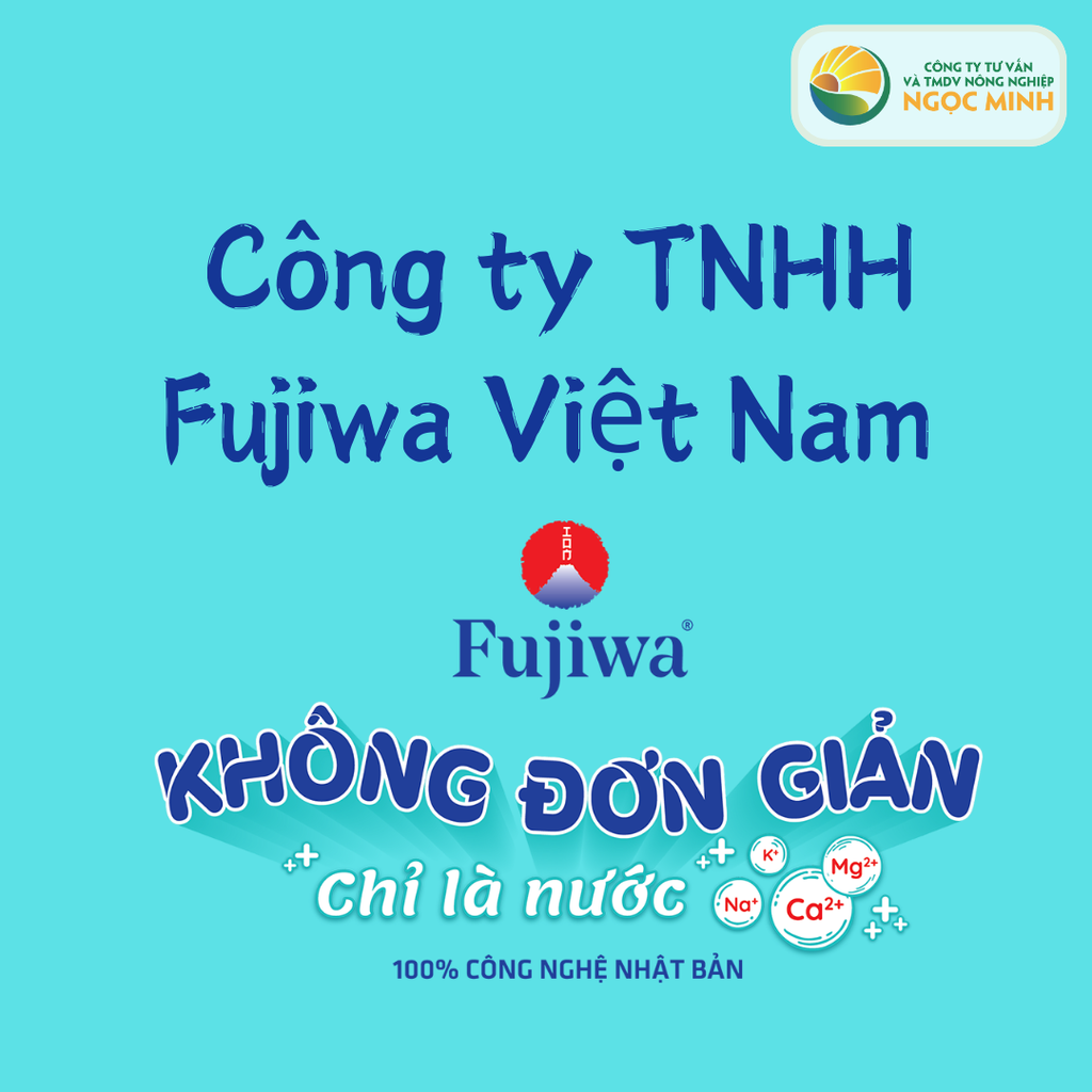 Giới thiệu về Công ty TNHH Fujiwa Việt Nam
