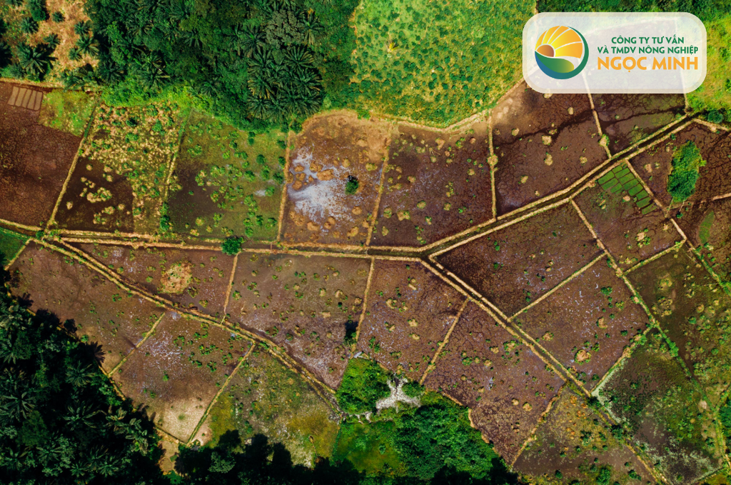Hướng Dẫn Chi Tiết Về Quản Lý Đất Đai và Nước Tưới