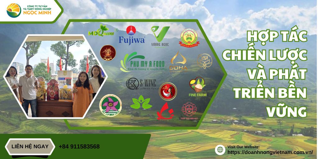 Ngọc Minh - Hợp Tác Chiến Lược Và Phát Triển Bền Vững