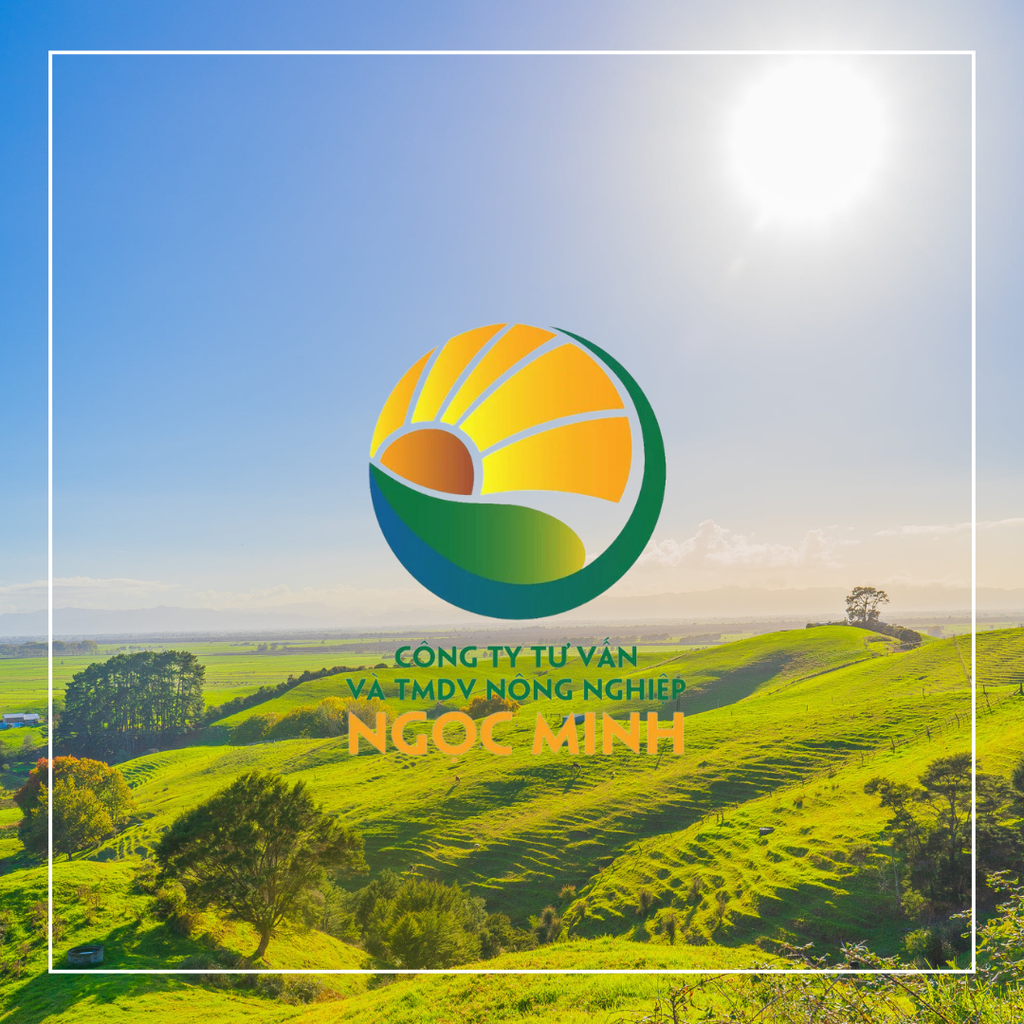 Sản phẩm / Dịch vụ