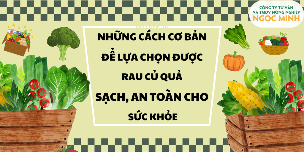 NHỮNG CÁCH CƠ BẢN ĐỂ LỰA CHỌN ĐƯỢC RAU CỦ QUẢ SẠCH, AN TOÀN CHO SỨC KHỎE