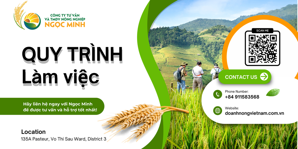 QUY TRÌNH LÀM VIỆC CHUYÊN NGHIỆP CHÌA KHÓA THÀNH CÔNG CỦA NGỌC MINH