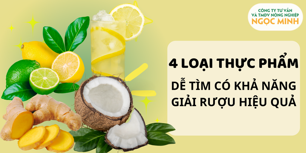 4 LOẠI THỰC PHẨM DỄ TÌM CÓ KHẢ NĂNG GIẢI RƯỢU HIỆU QUẢ