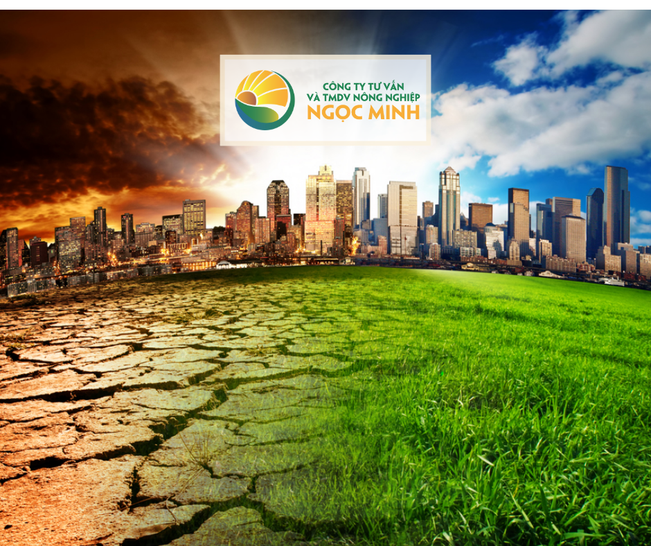 Biến Đổi Khí Hậu: Thách Thức Lớn Nhất Của Thế Kỷ 21