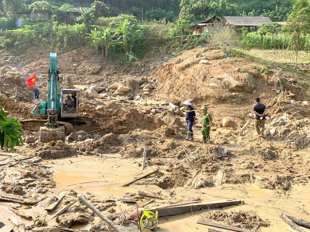 Quy Trình Trồng Rừng Sản Xuất Ngập Mặn: Giải Pháp Bền Vững Cho Môi Trường Và Kinh Tế