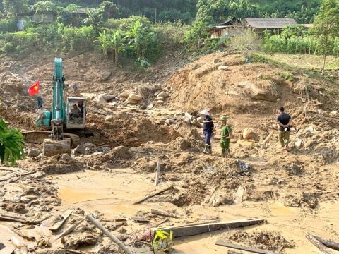 Quy Trình Trồng Rừng Sản Xuất Ngập Mặn: Giải Pháp Bền Vững Cho Môi Trường Và Kinh Tế