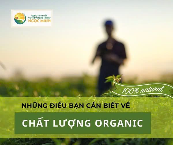 Chất Lượng Organic Là Gì? Tất Cả Những Điều Bạn Cần Biết