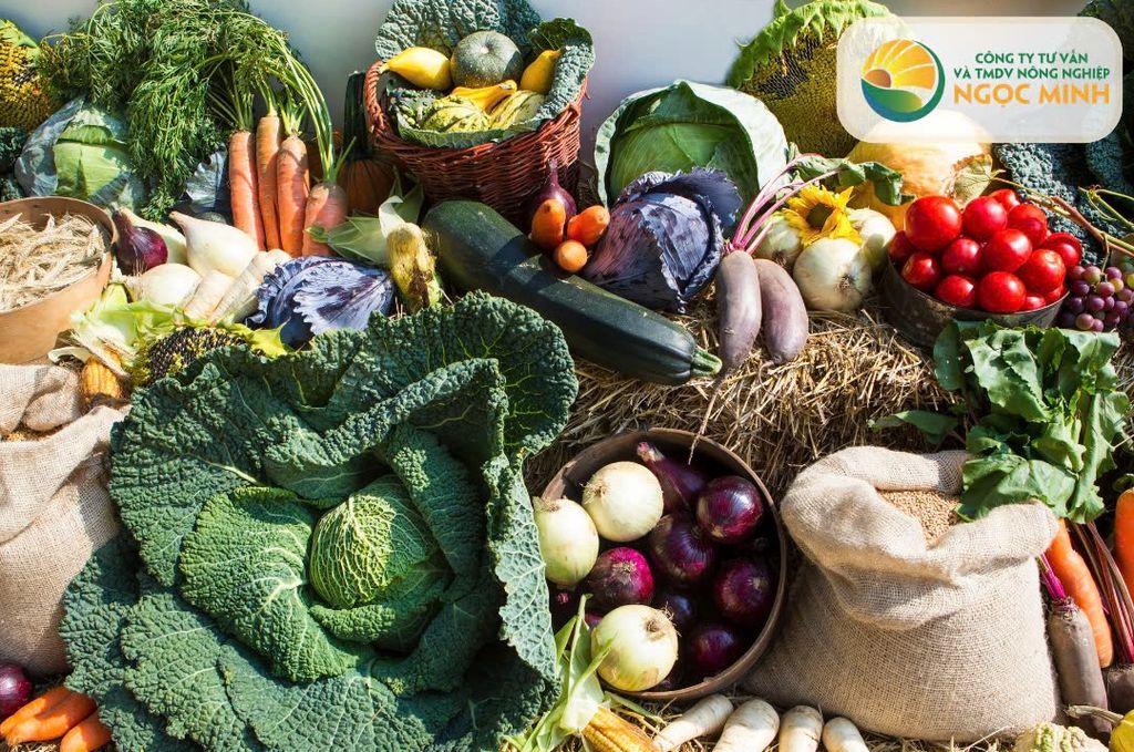 Cách Canh Tác Rau Năng Suất Cao Cho Nông Dân: Bí Quyết Thành Công