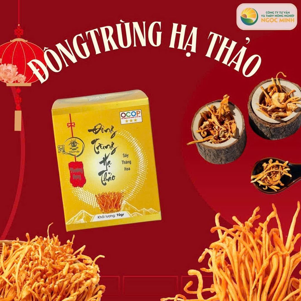 Cách Sử Dụng Đông Trùng Hạ Thảo Để Tăng Cường Sức Khỏe và Nâng Cao Sức Đề Kháng