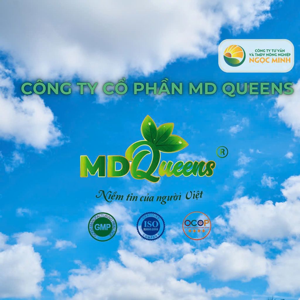 Giới thiệu về Công ty Cổ phần MD Queen