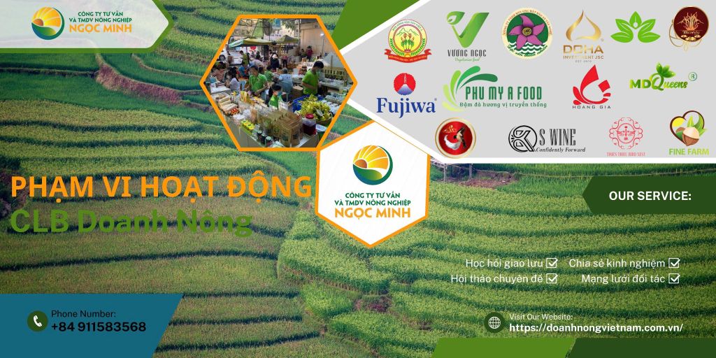 Phạm Vi Hoạt Động Của Câu Lạc Bộ Doanh Nông Ngọc Minh: Hỗ Trợ Phát Triển Doanh Nghiệp Nông Nghiệp