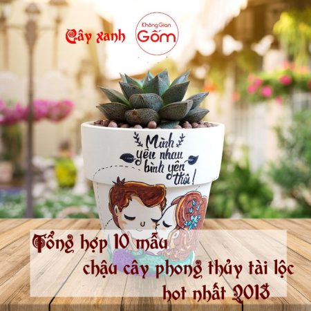 Tổng hợp 10 mẫu chậu cây phong thủy tài lộc hot nhất