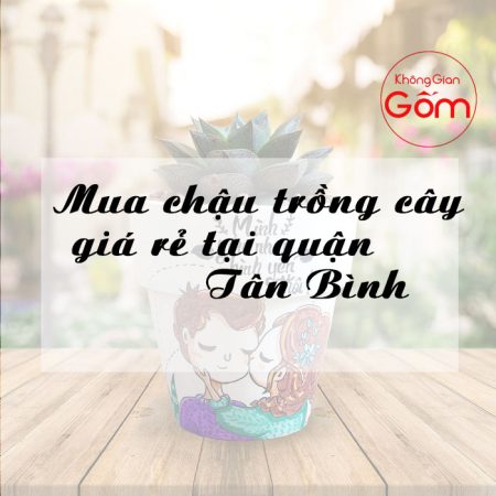 Mua chậu trồng cây giá rẻ ở đâu tại quận Tân Bình
