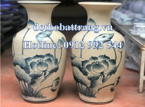 Lọ lục bình hay bảo bình? Loại nào hút tài lộc nhiều hơn?