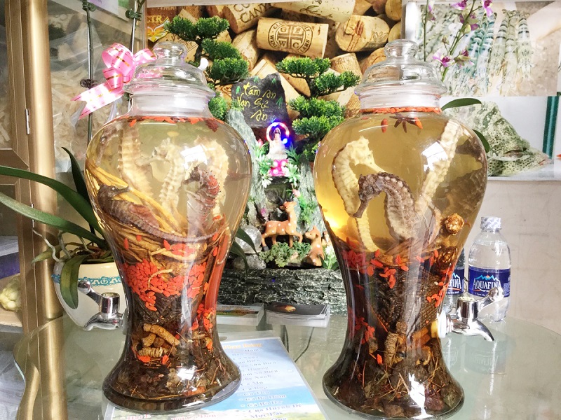 Đại lý chuyên bán bình ngâm rượu cá ngựa giá rẻ tại Bình Tân tphcm