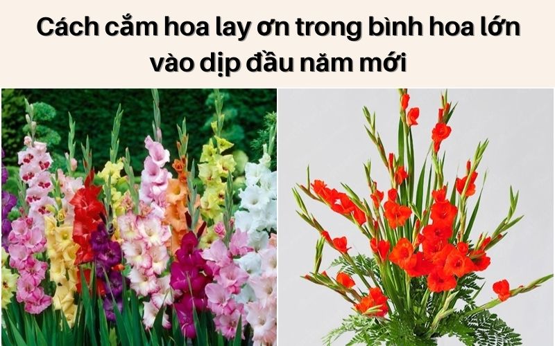 Cách cắm hoa lay ơn trong bình hoa lớn vào dịp đầu năm mới